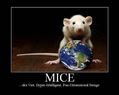 Mice.. aka vast Hyper-intelligent pan-dimensionnal beings